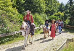ponyparkcity bosrit ponys oudersgezin kinderen
